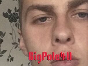 BigPole4U