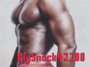 BigSnack42300