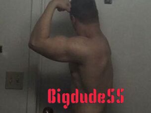 Bigdude55