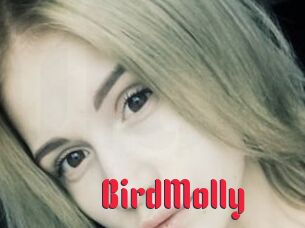BirdMolly