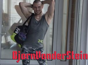 BjornVanderStein