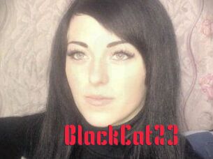 BlackCat23