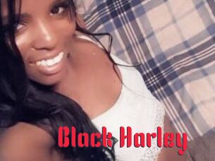 Black_Harley