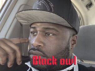 Black_owl