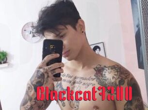 Blackcat7200