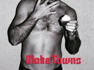 BlakeTowns