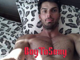 BoyToSexy