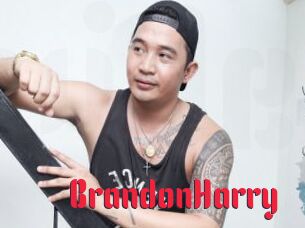 BrandonHarry