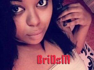 BriDsM