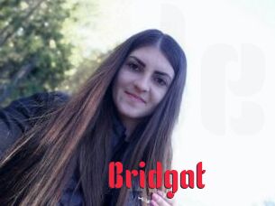 Bridgat