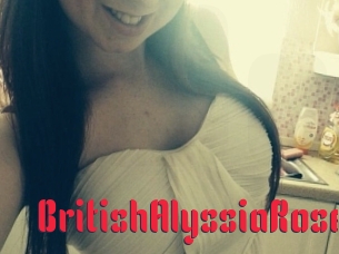 BritishAlyssiaRose