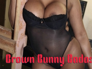Brown_Bunny_Badass Video Extrait
