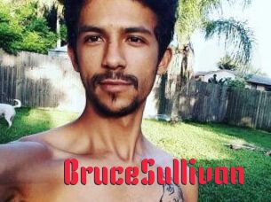 Bruce_Sullivan