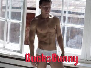 BucksBunny