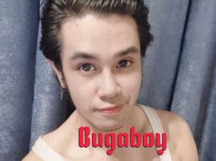 Bugaboy