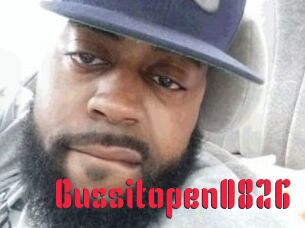 Bussitopen0826