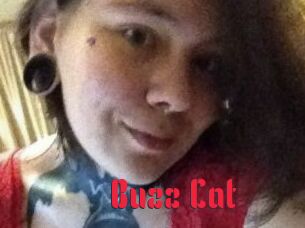 Buzz_Cat