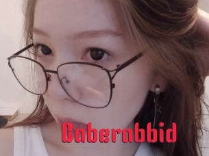 baberabbid Video Extrait