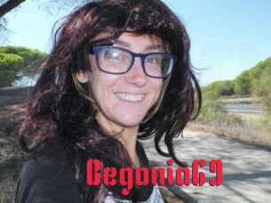 Begonia69