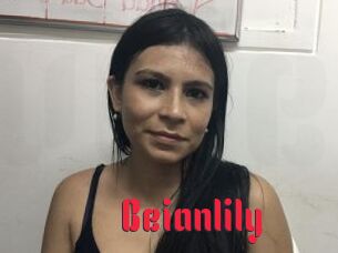 Beianlily