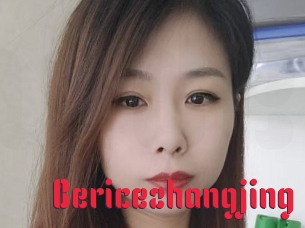Bericezhangjing