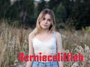 Berniecelittleb
