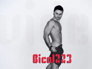 Bica1223