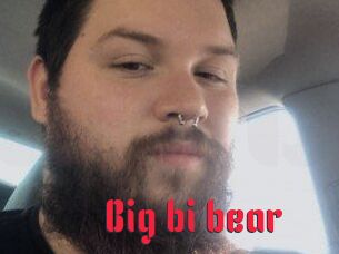 Big_bi_bear