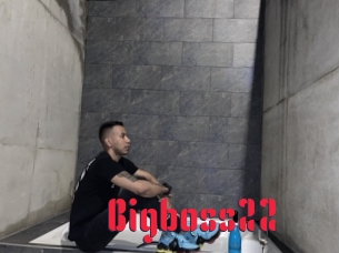 Bigboss22