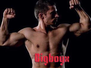 Bigboyx