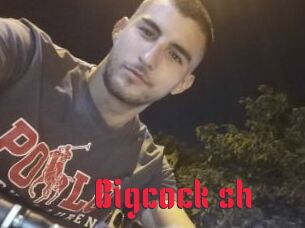 Bigcock_sh