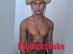 Bigdicksnake
