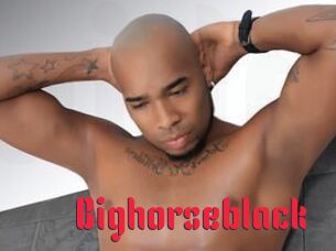 Bighorseblack
