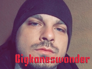 Bigkaneswonder