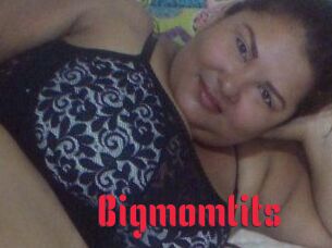 Bigmomtits