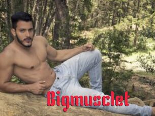 Bigmusclet