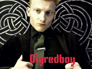 Bigredboy