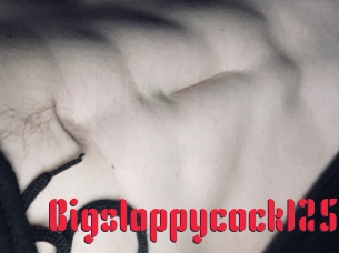 Bigsloppycock125