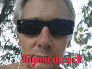 Biguncutcock