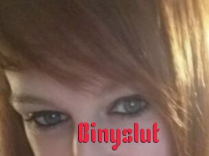 Binyslut