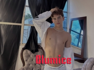 Blumice