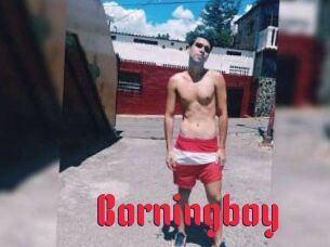 Borningboy