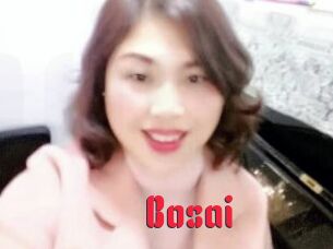 Bosai