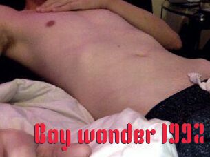 Boy_wonder_1992
