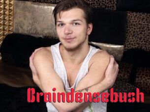 Braindensebush