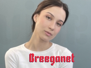 Breeganet