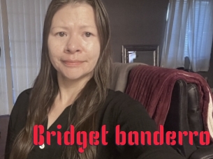 Bridget_banderro
