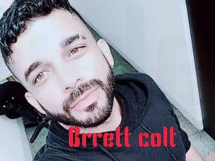 Brrett_colt