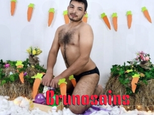 Brunosains