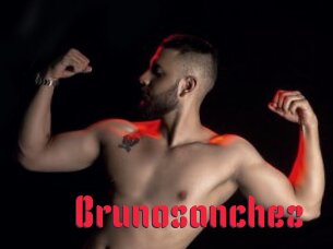 Brunosanchez